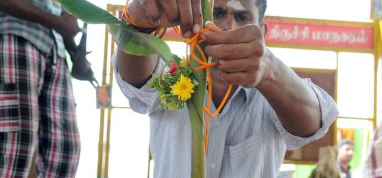 37809379_1780445832044360_4738370545588895744_n