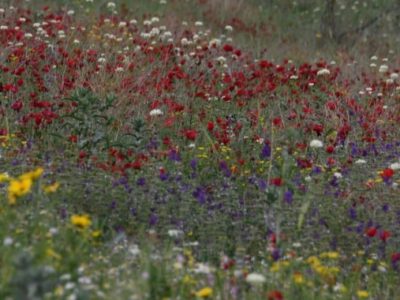 8434EC09-7CB4-A874-D346-E53FD618C1D3