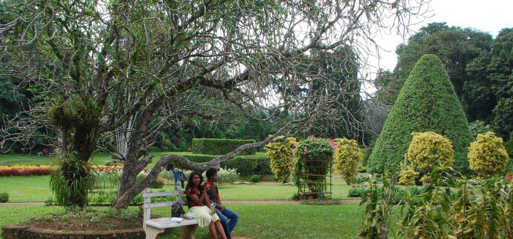 SRI_LANKA (14)